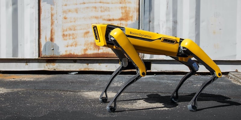Chien robot intelligent Spot Boston Dynamics