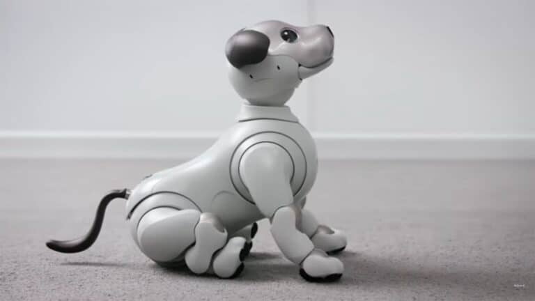 Top 5 des robots que vous pouvez acheter pour votre maison aujourd’hui »