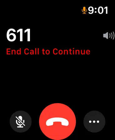 WatchOS 8 -funktionsförfrågan: ringsignal, hej, Apple Watch -samtal; 'Avsluta samtalet för att fortsätta'
