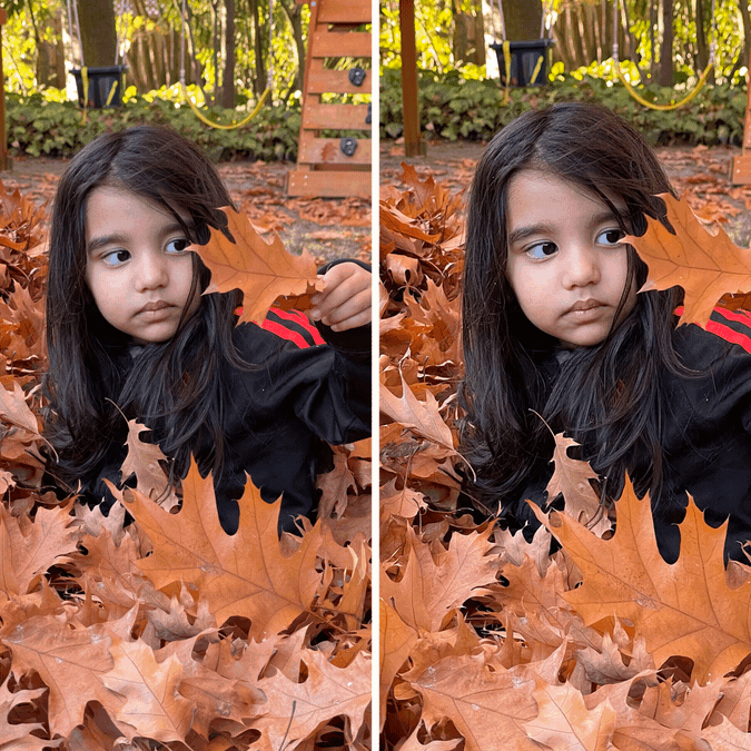 GIF animé montrant deux photos d'une petite fille jouant côte à côte dans un tas de feuilles.  La photo de gauche est statique, tandis que la photo de droite montre un zoom avant lent et une fonction de panoramique fluide.
