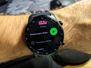 Spotify playlists can be downloaded offline on Wear OS with a Premium subscription