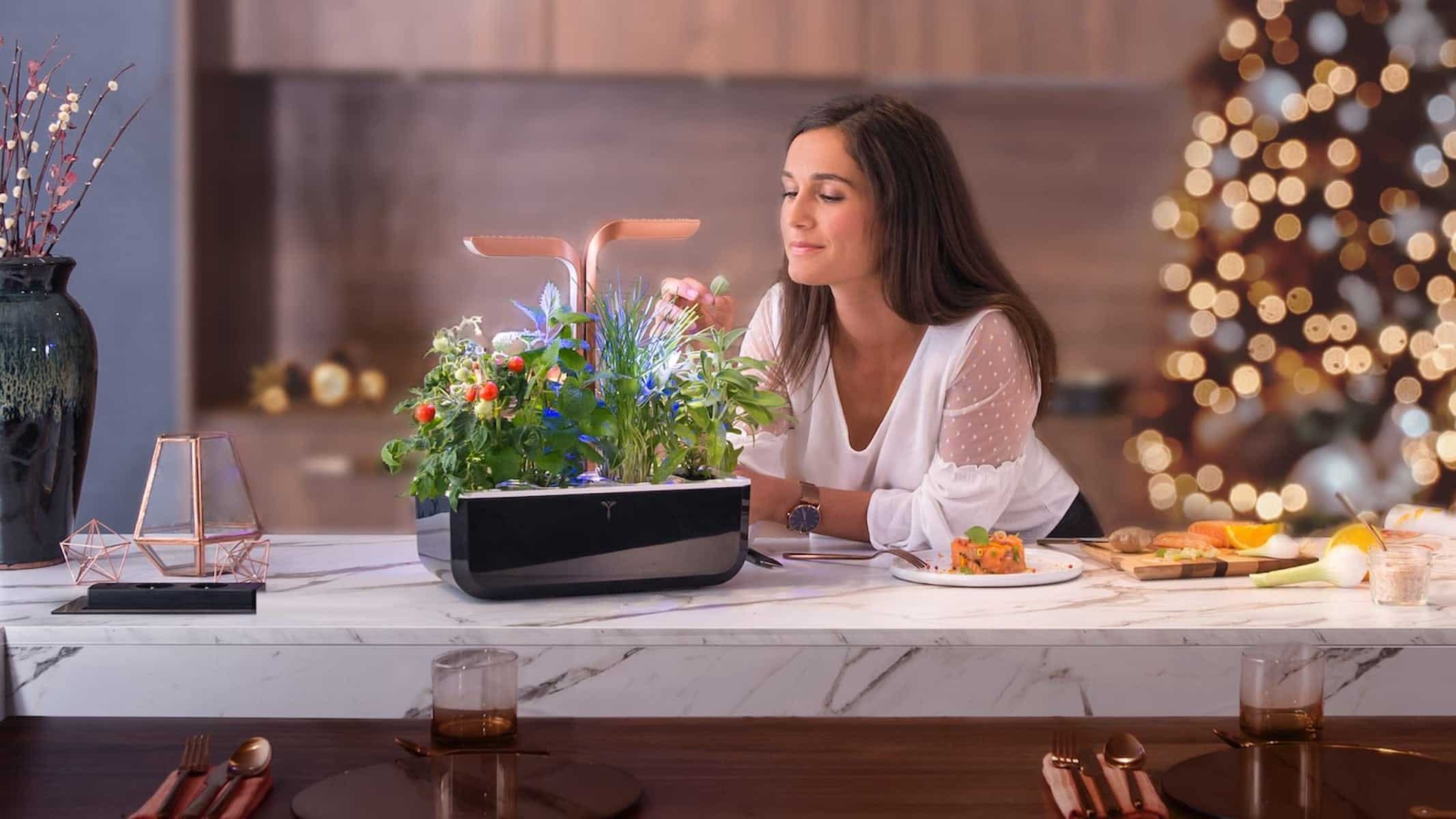 Build the kitchen garden of your dreams with these smart garden gadgets